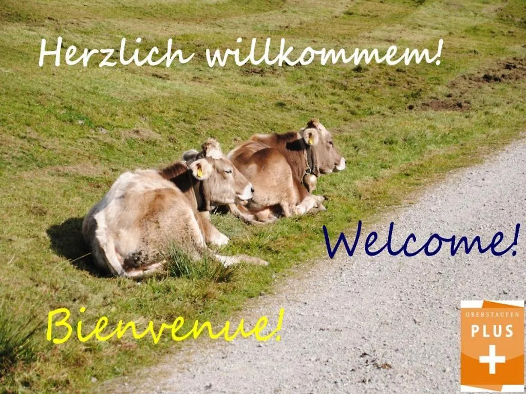 Appartement Bergfrieden Oberstaufen Germany